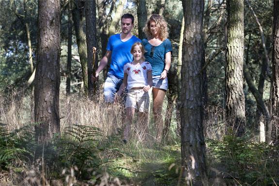 Durch den Wald spazieren gehen | Klein Vink